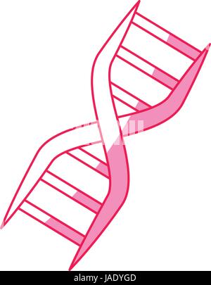 Adn codice genetico Illustrazione Vettoriale