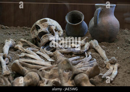 Scavi archeologici di un antico uomo homo sapiens uomo di Neanderthal ragionevoli le ossa dello scheletro e cranio umano Foto Stock