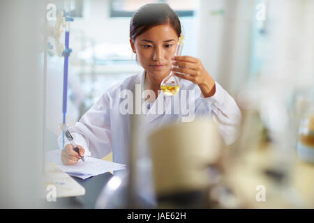 Una femmina laboratorio cinese scienziato che lavora presso il laboratorio con le provette per la prova Foto Stock