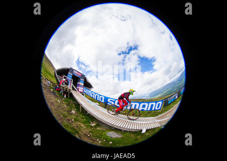 Luca Shaw degli STATI UNITI D'AMERICA le gare al di fuori della porta di inizio a UCI Mountain Bike World Cup corso in Fort William su Giugno 4, 2017. Foto Stock