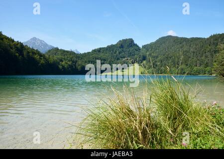 Lago Alatsee nell'Allgaeu alpi (Baviera, Germania) Foto Stock