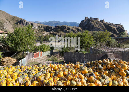 Zucche di asciugatura nel villaggio di Atskhuri con un castello in background, in Georgia. Foto Stock