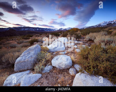 Latticello Hill nel Vescovo California Foto Stock