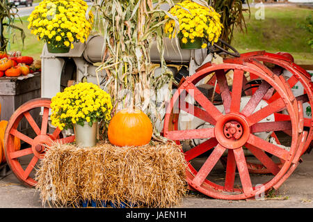 Zucche accanto a un vecchio trattore agricolo Foto Stock