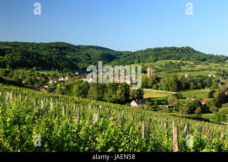 Francia, Giura (39), Arbois et son vignoble // Francia, Giura, Arbois e la vigna Foto Stock