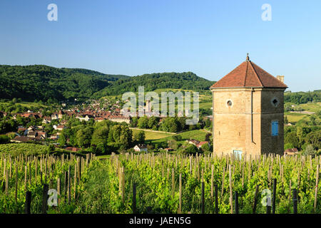 Francia, Giura (39), Arbois et son vignoble // Francia, Giura, Arbois e la vigna Foto Stock