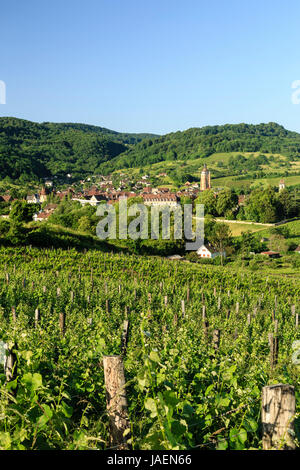 Francia, Giura (39), Arbois et son vignoble // Francia, Giura, Arbois e la vigna Foto Stock