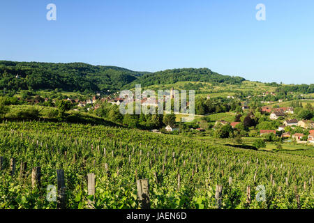 Francia, Giura (39), Arbois et son vignoble // Francia, Giura, Arbois e la vigna Foto Stock