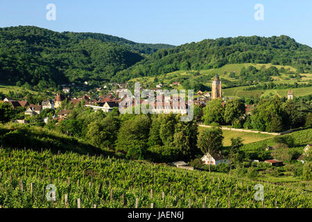 Francia, Giura (39), Arbois et son vignoble // Francia, Giura, Arbois e la vigna Foto Stock