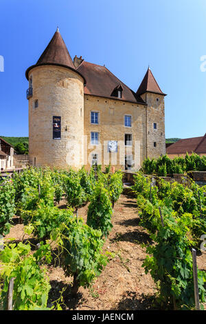 Francia, Giura, Arbois, Pecauld Castello, Museo della vite Foto Stock