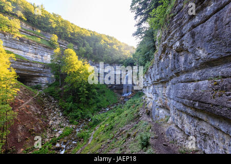 Francia, Giura, Menetrux en Joux, Herisson cascate, Grand Saut caduta Foto Stock