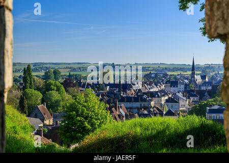 Francia, Loir et Cher, Montoire sur le Loir visto da i ruderi del castello Foto Stock