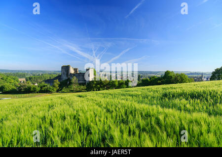 Francia, Loir et Cher, Montoire sur le Loir, il castello Foto Stock