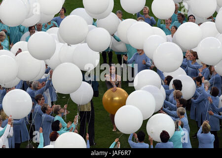 Berlino, Germania. Il 6 giugno, 2017. Zahlreiche Turner nehmen am 06.06.2017 in Berlin an der Stadiongala des internationalen Deutschen Turnfests teil. Credito: dpa picture alliance/Alamy Live News Foto Stock