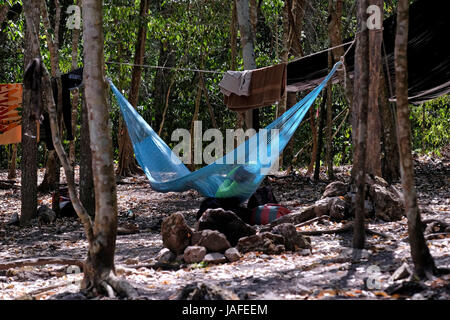 Il campeggio a El Mirador una grande pre-colombiana insediamento Maya, ubicato in un sito remoto nel profondo della giungla nel nord del dipartimento moderno di El Petén, Guatemala Foto Stock