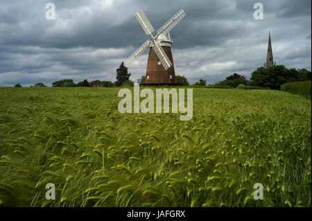 Campo di orzo che mostra John Webb il mulino a vento e Thaxted Chiesa Parrocchiale , Essex, Inghilterra, Regno Unito. Giugno 2017 Foto Stock