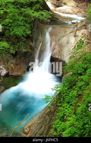 Fresco verde e cascata, Nishizawa Valley, Yamanashi, Giappone Foto Stock