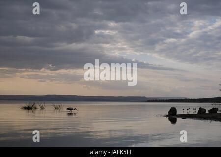 Tramonto sul lago calmo Baringo, Kenya Foto Stock