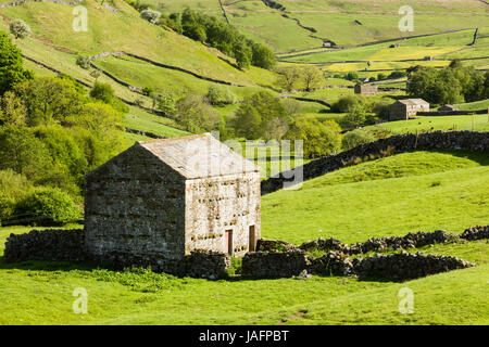 Dales fienili sotto Kisdon Hill e del The Pennine Way vicino Keld in Swaledale Foto Stock