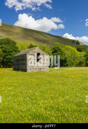 Dales granaio e selvaggio fiore prato in Muker Swaledale NEL REGNO UNITO Foto Stock