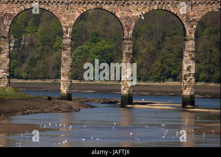 Il Royal Border, Berwick-upon-Tweed Foto Stock