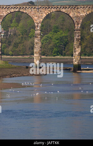 Il Royal Border, Berwick-upon-Tweed Foto Stock