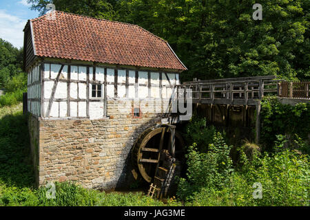 Deutschland, Renania settentrionale-Vestfalia, Detmold e LWL-Freilichtmuseum, das größte Freilichtmuseum , Deutschlands Wassermühle Foto Stock