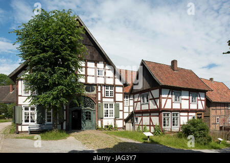 Deutschland, Renania settentrionale-Vestfalia, Detmold e LWL-Freilichtmuseum, das größte Freilichtmuseum , Deutschlands Bauernhäuser Foto Stock