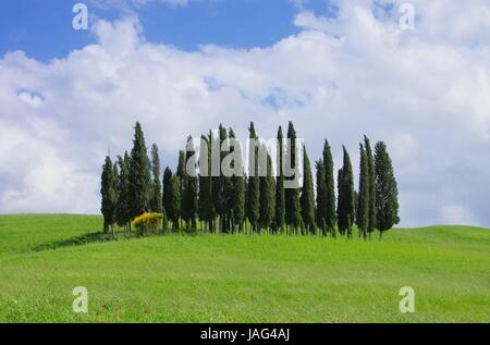 Toskana Wald - Toscana foresta 11 Foto Stock