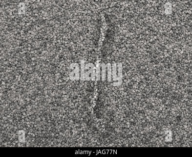 Mappa di Cile su di semi di papavero Foto Stock