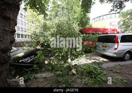 I rami di un albero in un auto e bus, a Waterloo, London, a seguito di piogge intense. Foto Stock