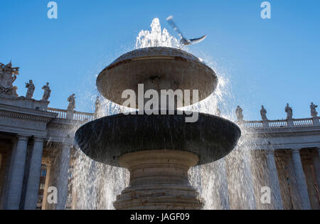 Seagull in volo sopra fontana con spray e la luce del sole, Piazza San Pietro e la Città del Vaticano, Roma, Italia Foto Stock