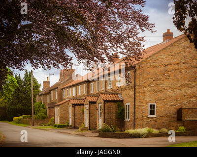 Village Street e case, Sessay, North Yorkshire, Regno Unito. Foto Stock