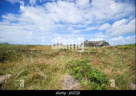 Lo splendido paesaggio di Blavand, Danimarca Foto Stock