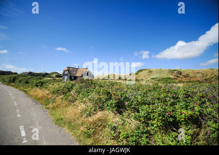 Lo splendido paesaggio di Blavand, Danimarca Foto Stock