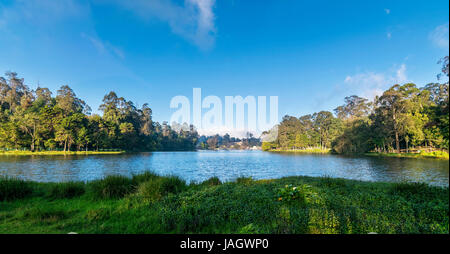 La stella a forma di lago di Kodaikanal, conosciuto anche come Lago di Kodai è un lago artificiale situato nella città di Kodaikanal nel distretto di Dindigul in Tamil Nadu, India. Foto Stock