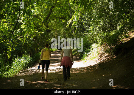 Regno Unito, Inghilterra, Shropshire, Il Wrekin, due donne camminando sul percorso principale di quercia sessile woodland Foto Stock