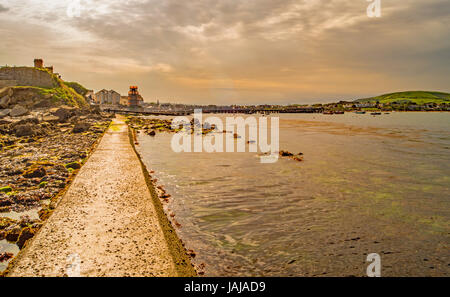 Sul rettilineo e strette.scivolose sentiero costiero a: Peveril punto,swanage,dorset Foto Stock