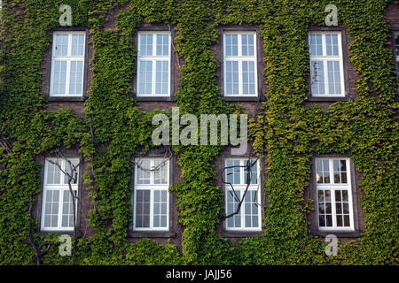 Polonia,Cracovia,piccole espansioni,Hawal,royal castle,bloccare,Hawalhügel,Città Vecchia,vita quotidiana, Foto Stock