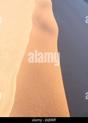 Modelli di sabbia sulle dune 45 nel deserto del Namib, Namib-Naukluft National Park, Namibia. Foto Stock