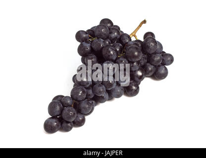 Uva moscato,nero moscato o Moscato Tu Amburgo,Vitis vinifera,sfondo bianco, Foto Stock