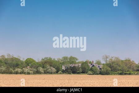 Appena un campo arato delimitato da una gabbia di albero con una casa nelle vicinanze Foto Stock