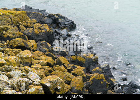 Dettaglio costiere a Cap Frehel in Bretagna, Francia Foto Stock