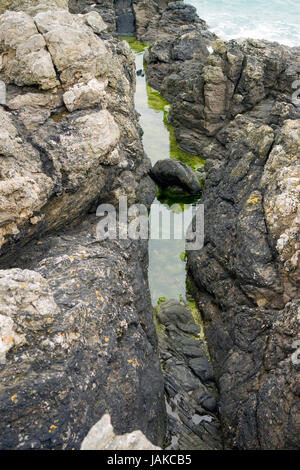 Dettaglio costiere a Cap Frehel in Bretagna, Francia Foto Stock