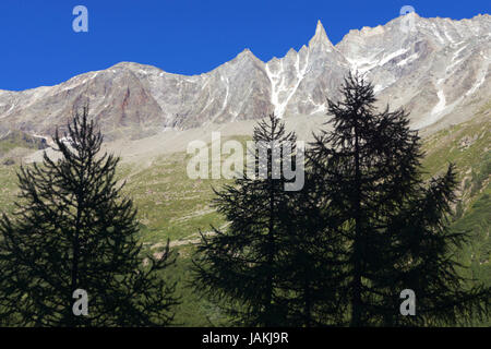 I larici prima di aguille de la TSA Foto Stock