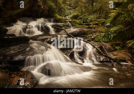 Tripletta cade in australia Foto Stock