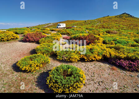 Camper da solo nel mezzo della montagna verde vegetazione con giallo e violett fiori in fiore Foto Stock