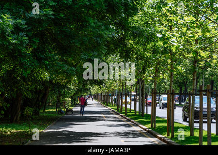 Bucarest, Romania - 24 Maggio 2017: Kiseleff strada è uno dei principali boulevard di Bucarest che corre come un proseguimento verso nord di Vittoria Street (Calea Vict Foto Stock