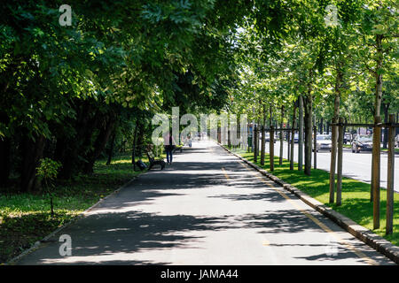 Bucarest, Romania - 24 Maggio 2017: Kiseleff strada è uno dei principali boulevard di Bucarest che corre come un proseguimento verso nord di Vittoria Street (Calea Vict Foto Stock