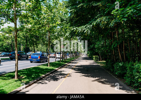 Bucarest, Romania - 24 Maggio 2017: Kiseleff strada è uno dei principali boulevard di Bucarest che corre come un proseguimento verso nord di Vittoria Street (Calea Vict Foto Stock